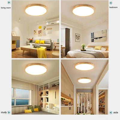 Modern LED Ceiling Light - Bedroom, Corridor, Balcony, and Living Room Decor
