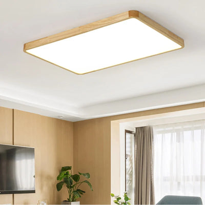 Modern LED Ceiling Light - Bedroom, Corridor, Balcony, and Living Room Decor