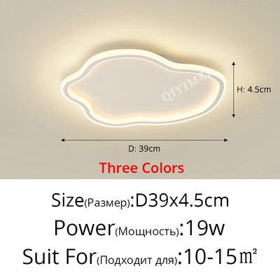 48732314665247