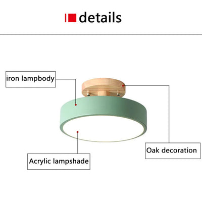 Modern LED Ceiling Light - Nordic Macaron Colorful Ceiling Lamp for Bedroom, Foyer, and Indoor Decor
